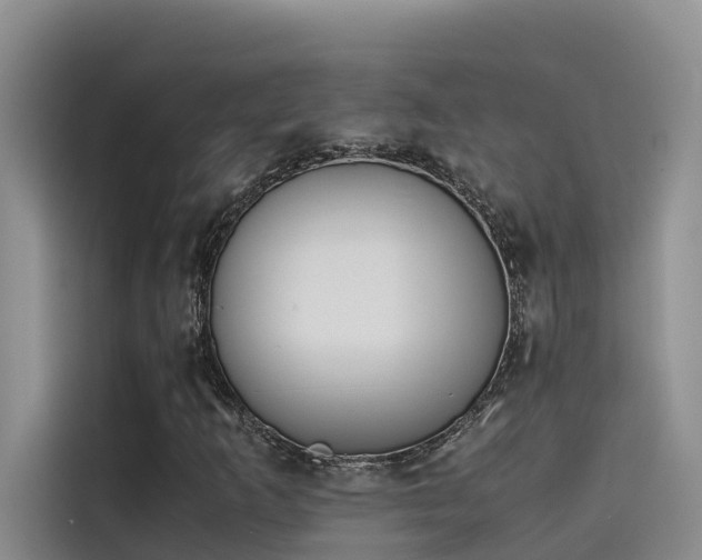 X0000115621253200911171309