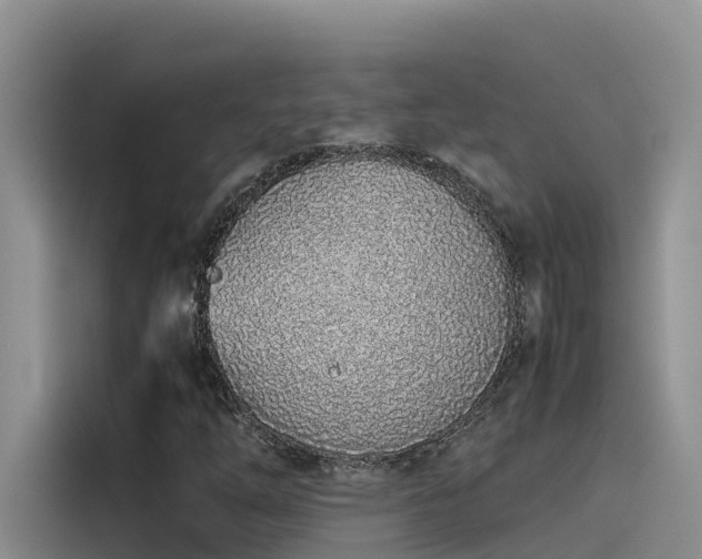 X0000115621254200911171309