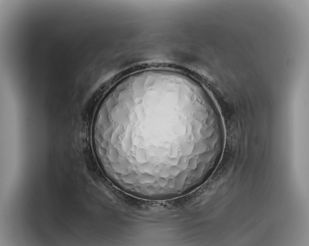 X0000115621255200911171309