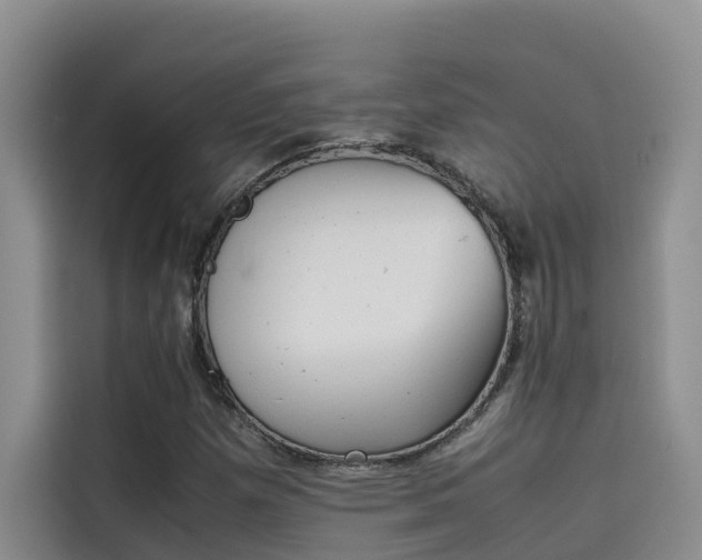 X0000115621257200911171309