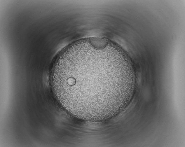 X0000115621258200911171309