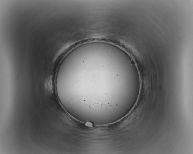 X0000115621262200911171309