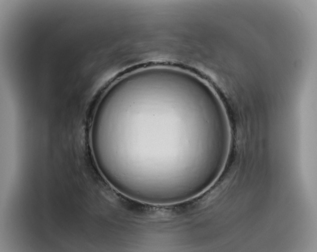 X0000115621263200911171309