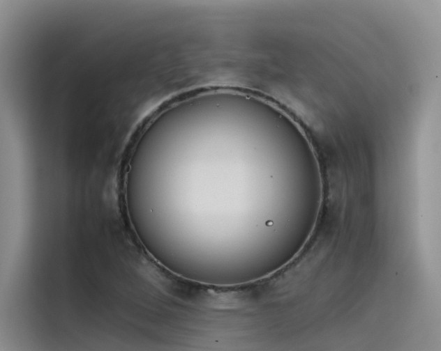 X0000115621264200911171309