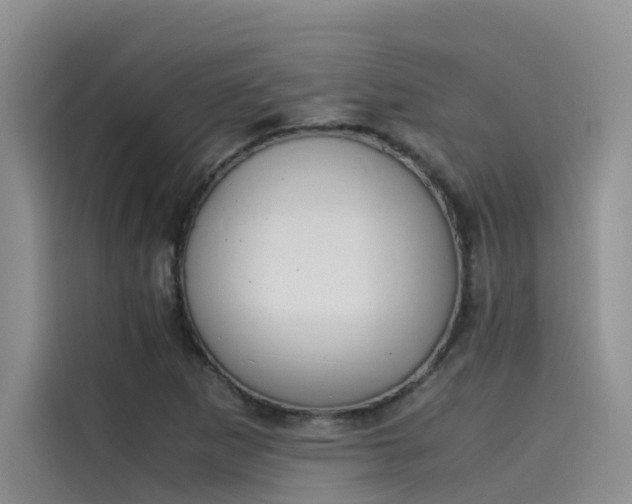 X0000115621265200911171309