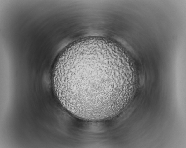 X0000115621266200911171309