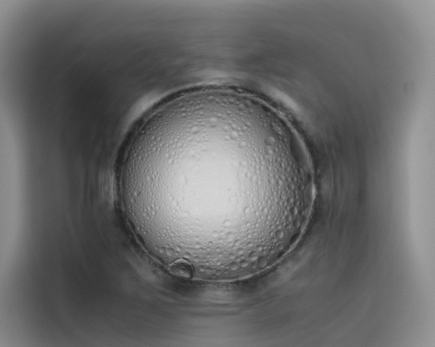 X0000115621267200911171309