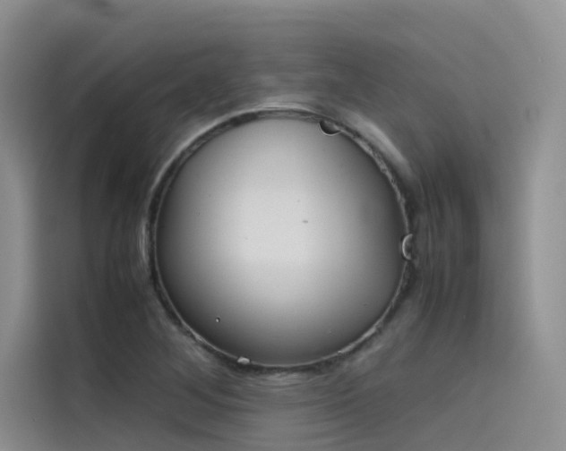 X0000115621268200911171309