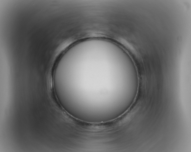 X0000115621269200911171308