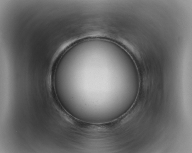 X0000115621270200911171308