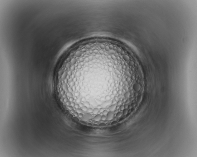 X0000115621271200911171308