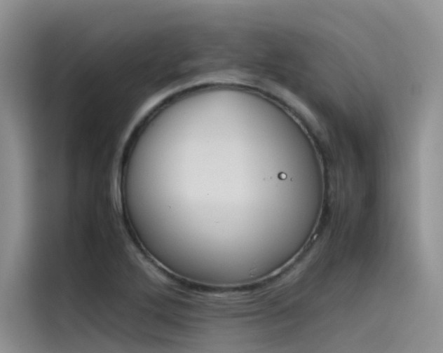 X0000115621272200911171308