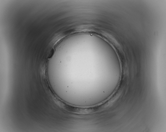 X0000115621273200911171308