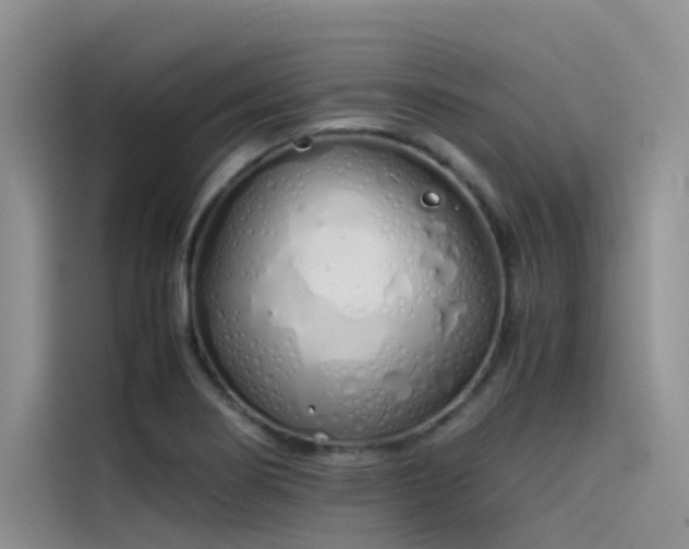 X0000115621274200911171308