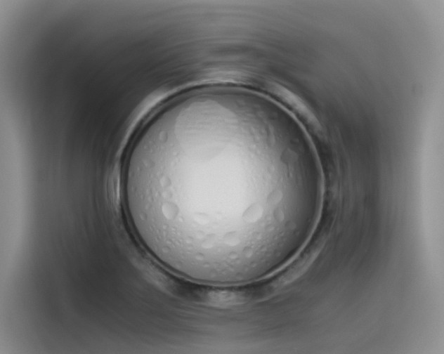 X0000115621275200911171308