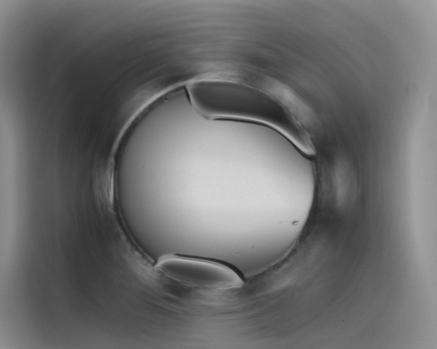 X0000115621276200911171308