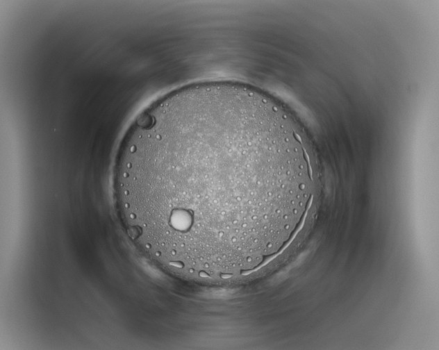 X0000115621278200911171308