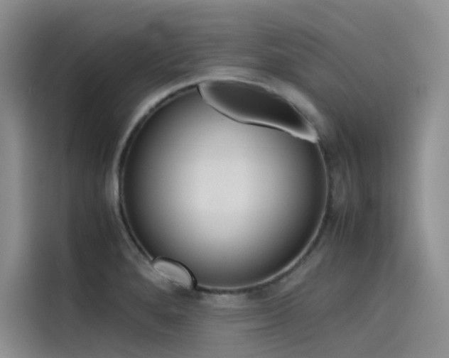 X0000115621280200911171308