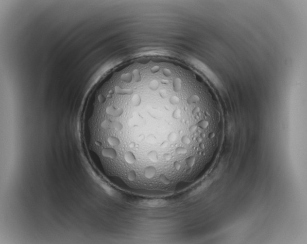 X0000115621282200911171308