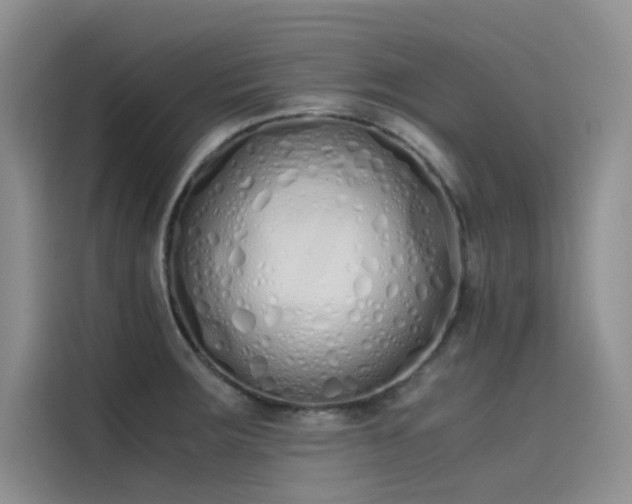 X0000115621283200911171308