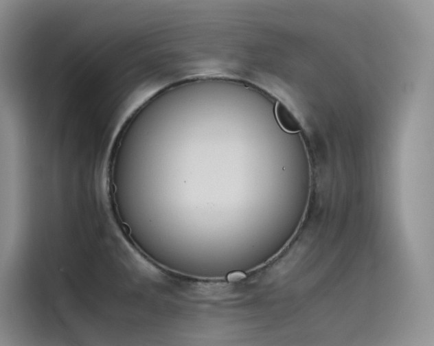 X0000115621285200911171308