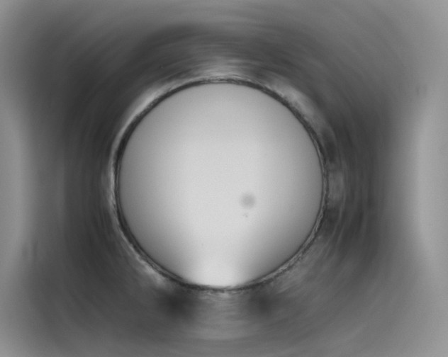 X0000115621286200911171308