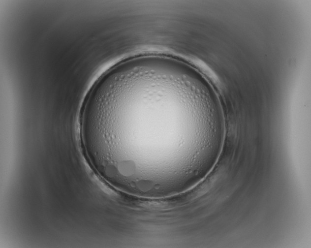 X0000115621287200911171308