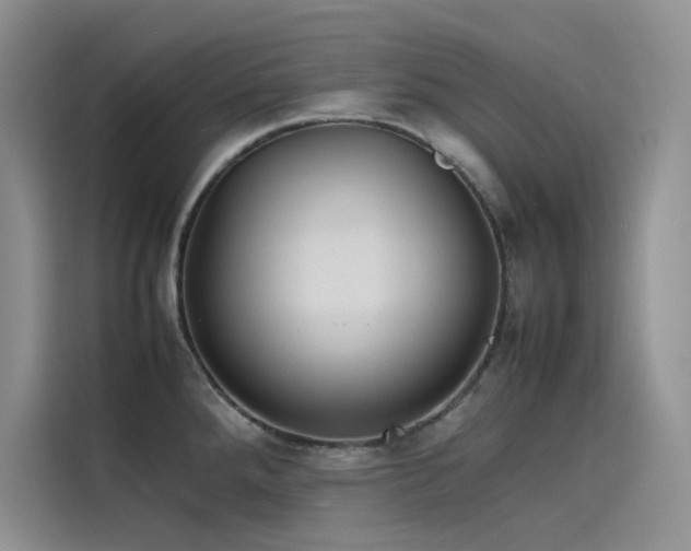 X0000115621288200911171308