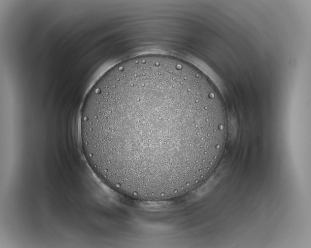 X0000115621290200911171308