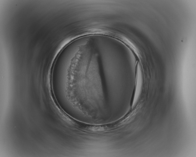 X0000115621291200911171308