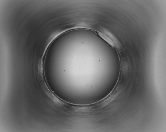 X0000115621292200911171308