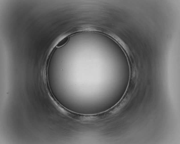 X0000115621293200911171308