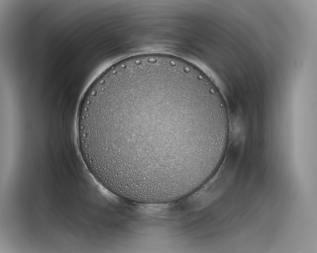 X0000115621294200911171308