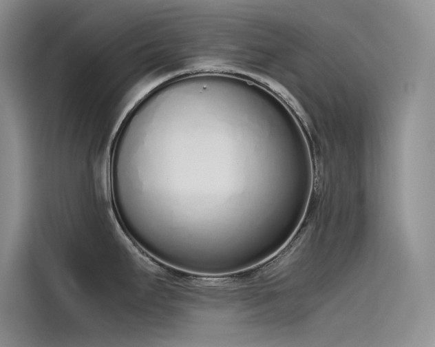 X0000115621295200911171308