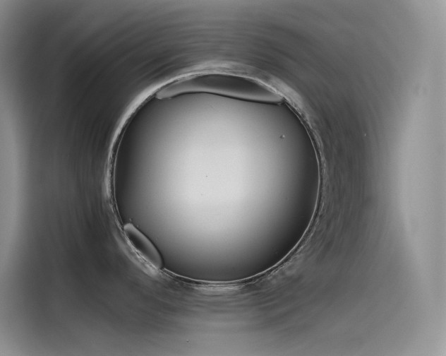 X0000115621296200911171308