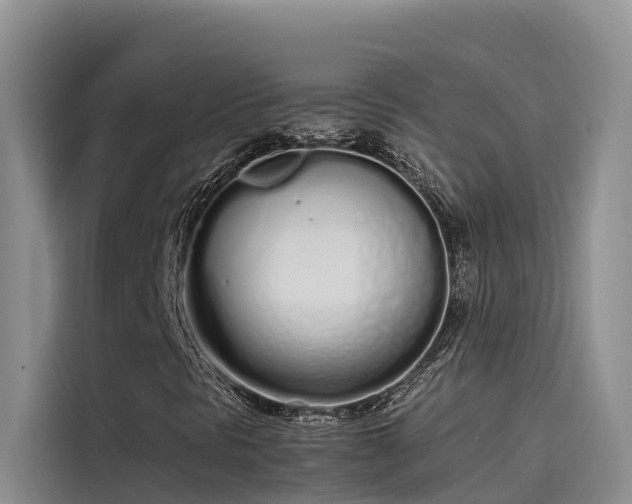 X0000115621297200911171308