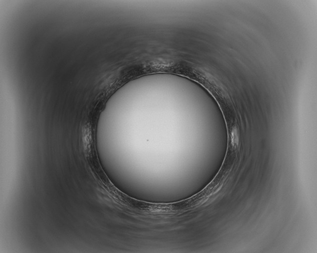 X0000115621299200911171308