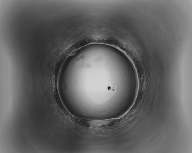 X0000115621301200911171308