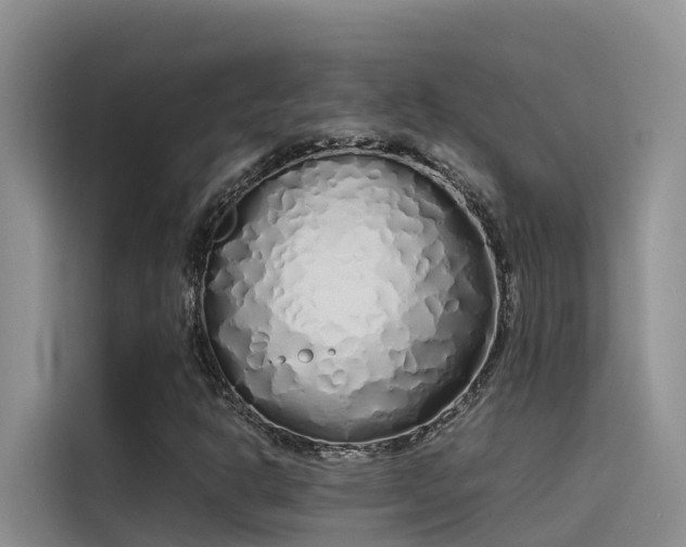 X0000115621302200911171308