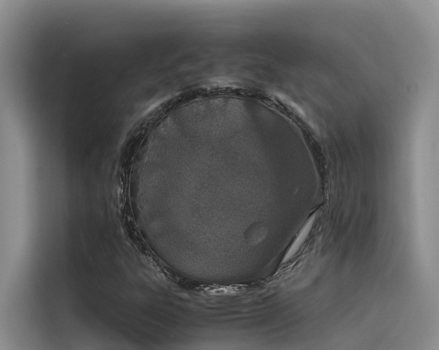 X0000115621303200911171308