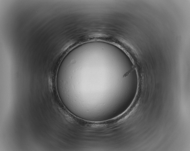 X0000115621305200911171308