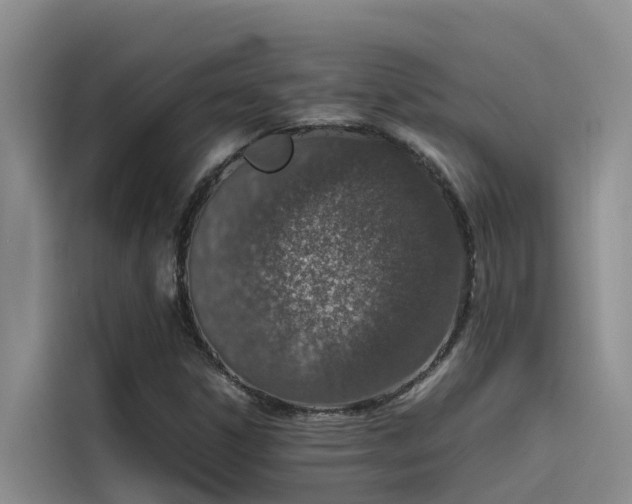 X0000115621306200911171308