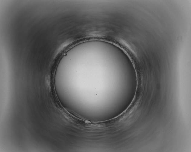 X0000115621307200911171308