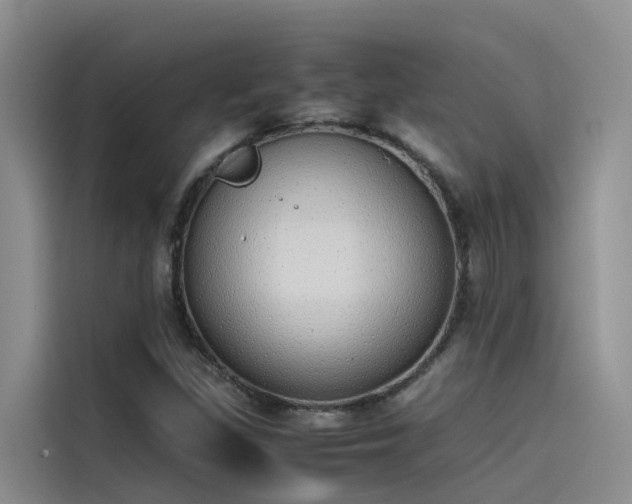 X0000115621309200911171308