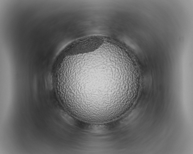 X0000115621310200911171308