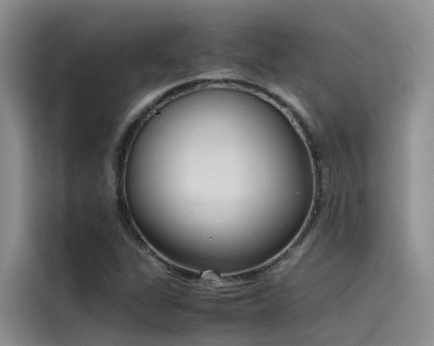 X0000115621311200911171308