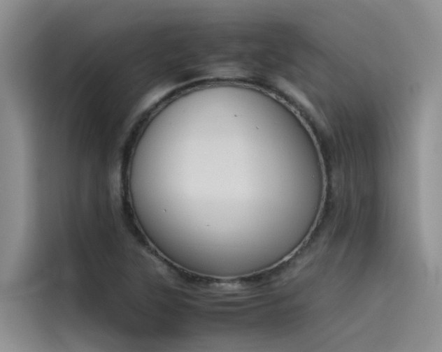 X0000115621315200911171308