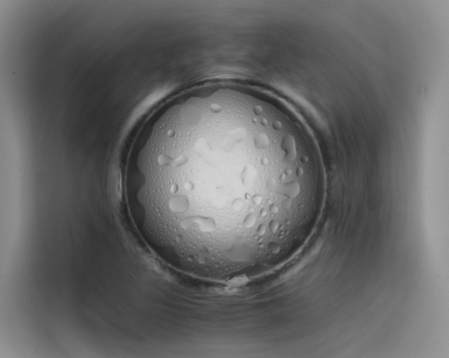 X0000115621317200911171308