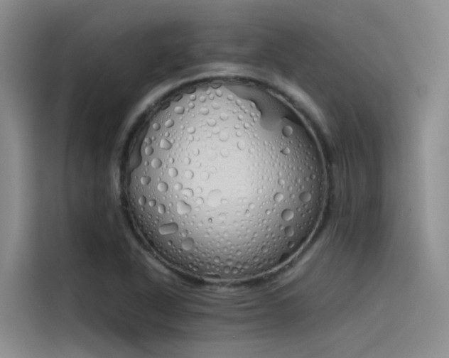 X0000115621318200911171308