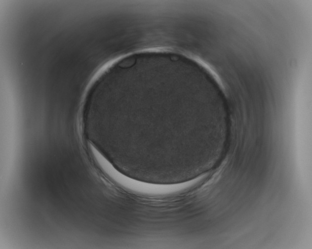 X0000115621319200911171308